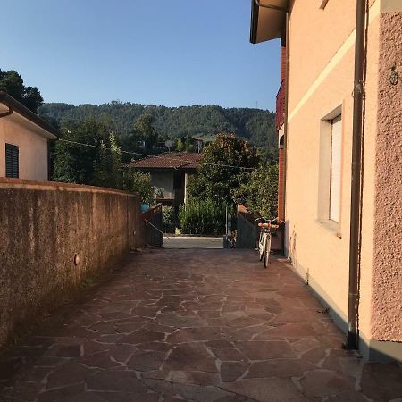 Villa Ester Camaiore Ngoại thất bức ảnh