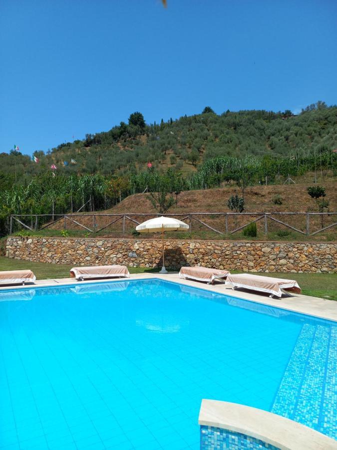 Villa Ester Camaiore Ngoại thất bức ảnh