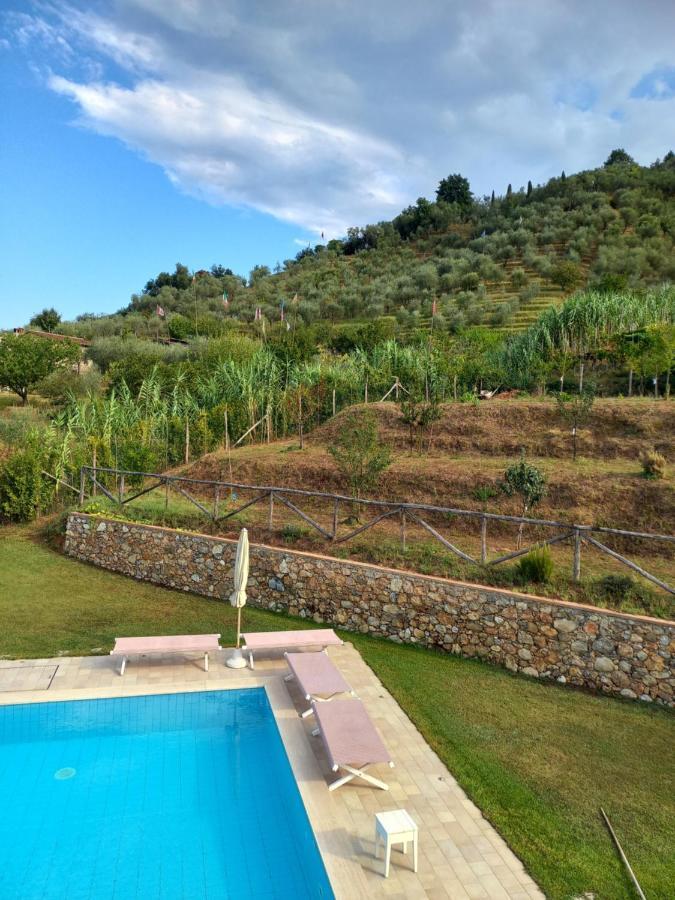 Villa Ester Camaiore Ngoại thất bức ảnh