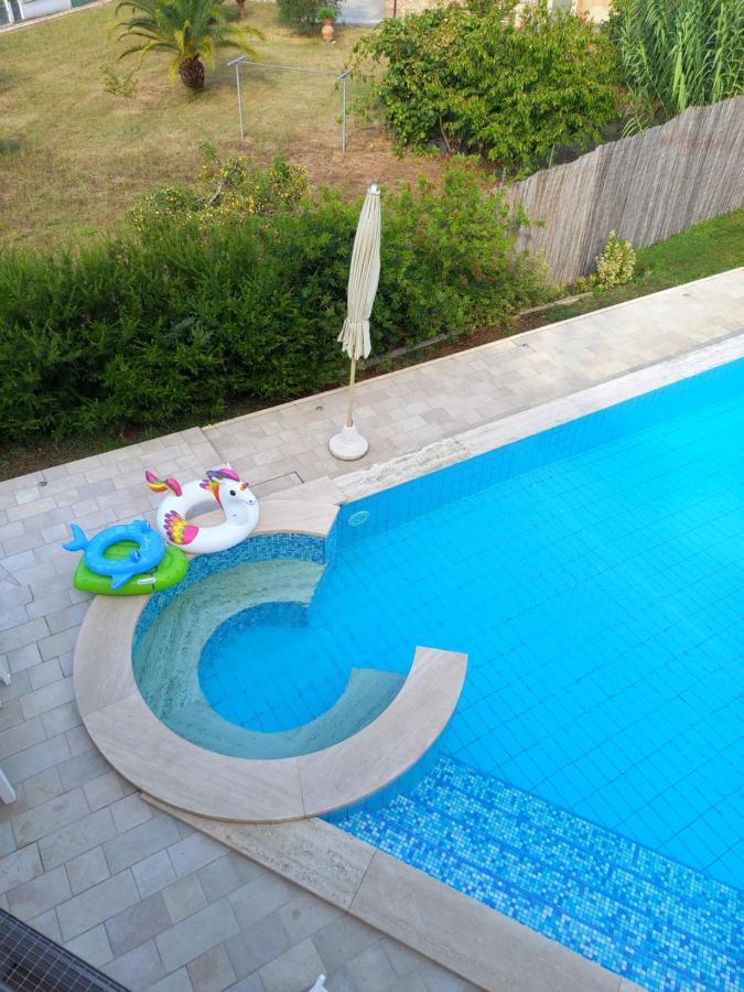 Villa Ester Camaiore Ngoại thất bức ảnh