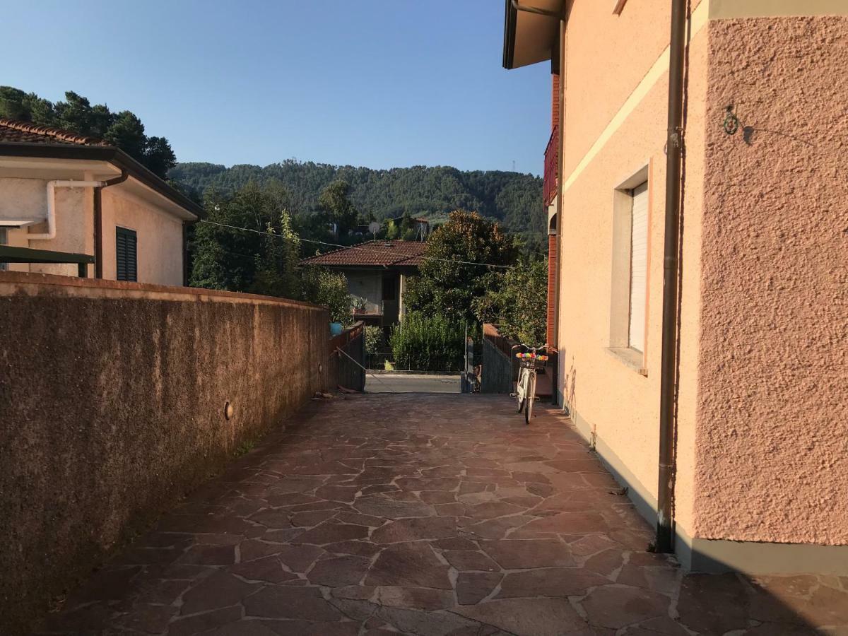 Villa Ester Camaiore Ngoại thất bức ảnh